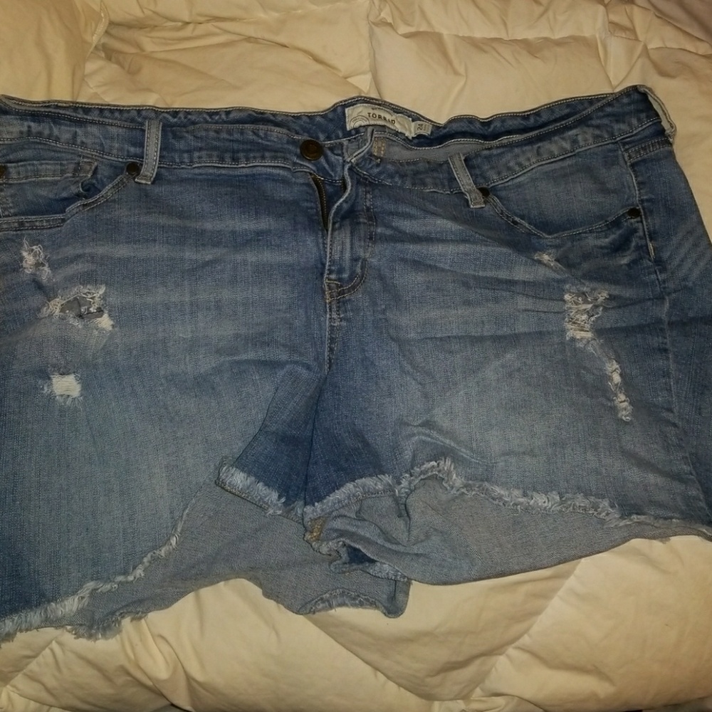 Torrid shorts
